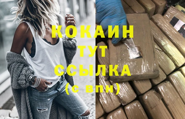 сатива Каменск-Шахтинский