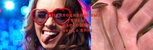 сатива Каменск-Шахтинский