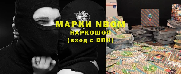 сатива Каменск-Шахтинский